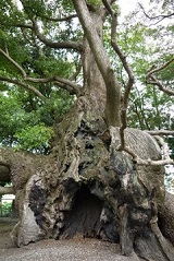 大きな空洞が開いています