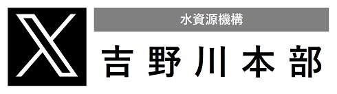 公式Xはこちらから