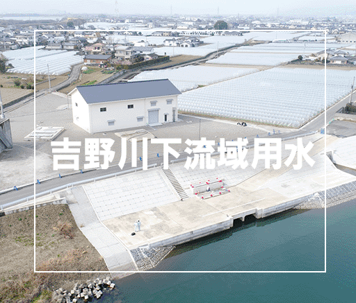 吉野川下流域建設所